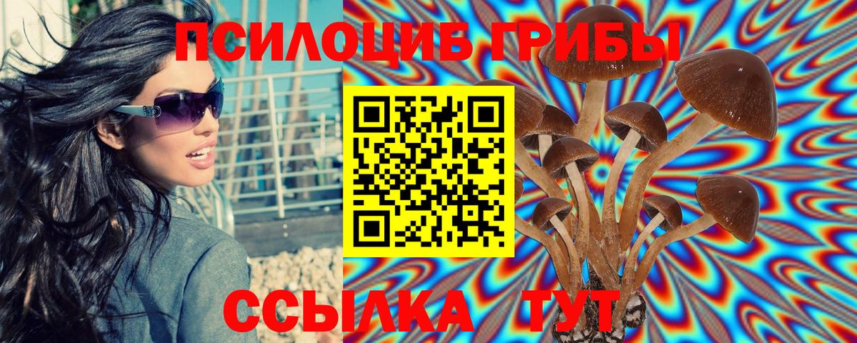 Галлюциногенные грибы прущие грибы  Вход с VPN  Рославль 